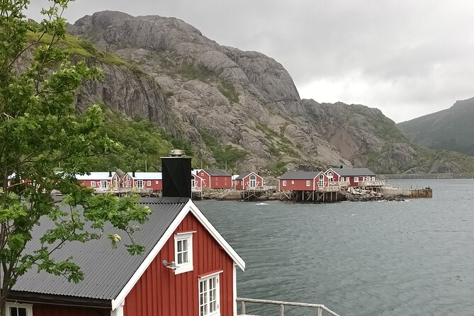 Lofoten VIP PRIVATE Tour from Leknes city / port - Price and what $526.48 buys you