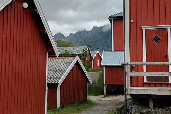 Lofoten VIP PRIVATE Tour from Leknes city / port - The itinerary, stop by stop, and what each one gives you