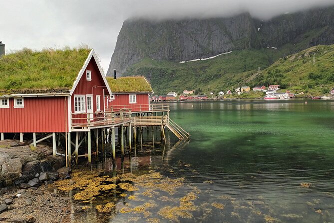 Lofoten VIP PRIVATE Tour from Leknes city / port - What’s included (and what you will still need)