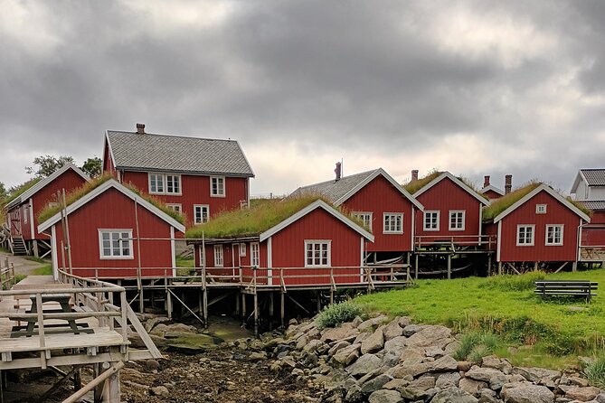 Lofoten VIP PRIVATE Tour from Leknes city / port - Is this tour worth it for your travel style?
