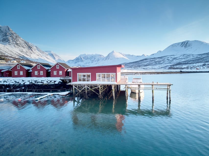 Lyngen: Snowmobile Safari with Lunch in seaside Restaurant - History and local stories you’ll remember later