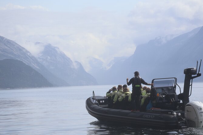 Lysefjord RIB Safari from Stavanger - Key things to know before your RIB safari