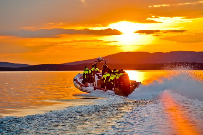 Lysefjord RIB Safari from Stavanger - Captains, crew, and why the stories matter more than you expect