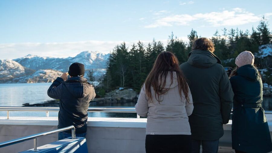 Lysefjorden cruise & Preikestolen guided hike - winter - A small-group winter day that actually feels manageable