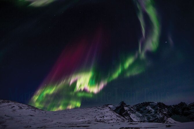 Marianne’s Heaven On Earth Aurora Chaser Tours - Price of $291.52, and why it might feel fair for the included effort