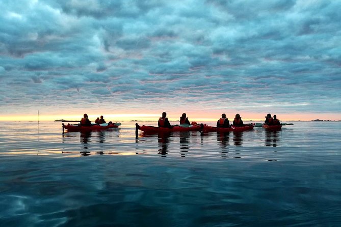 Midnight Sun Kayak - Northern Explorer - Wildlife Moments: Seabirds, Clear Water, and the Possibility of More