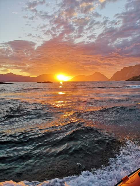 Midnight sun safari - Key highlights worth planning for