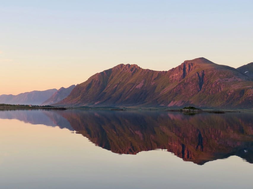 Midnight sun safari - What the local skipper adds beyond the scenery
