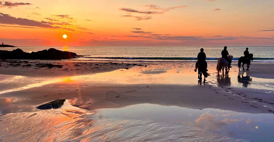 Midnight sun tour - Key things to know before you book