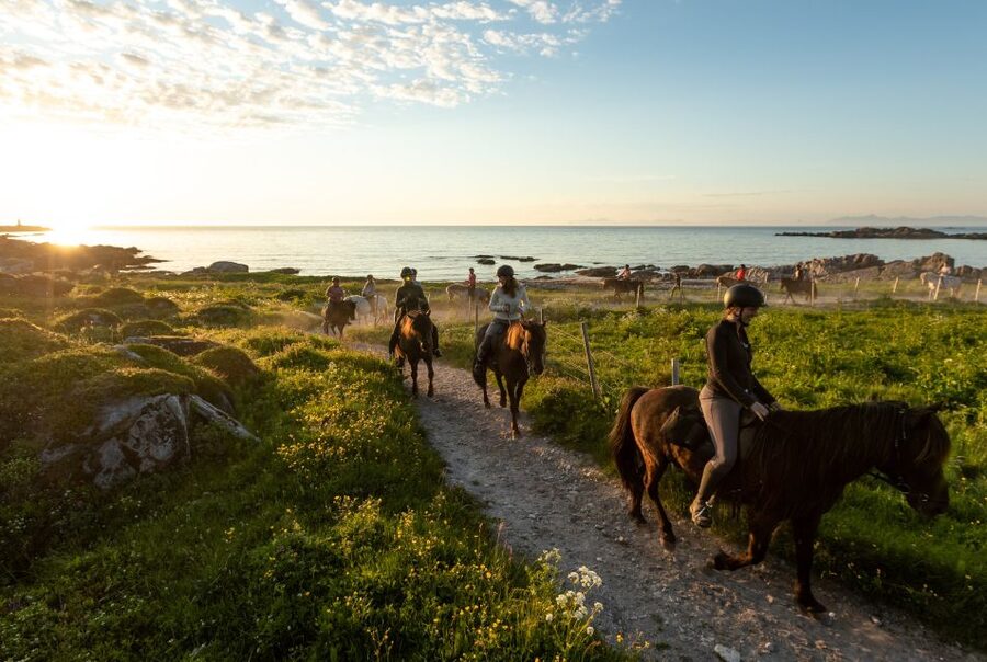 Midnight sun tour - Hovsund and the fish drying racks on your route