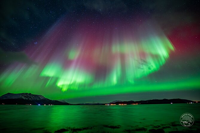 Minibus Northern Lights Chase with Photography from Tromsø - Key points before you go