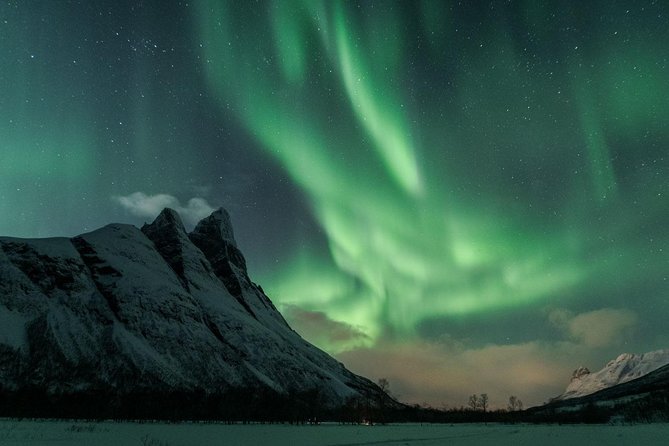 Minibus Northern Lights Chase with Photography from Tromsø - Why this Tromsø aurora chase feels different than the big-bus version