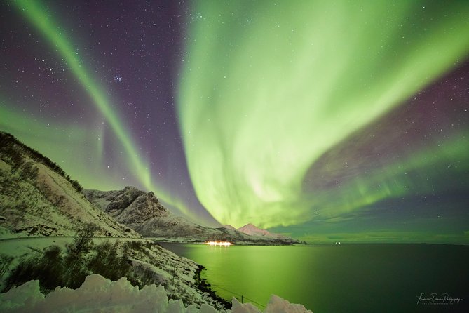 Minivan Northern Lights excursion (8 guests per minivan) - A Tromso northern lights chase in a small minivan