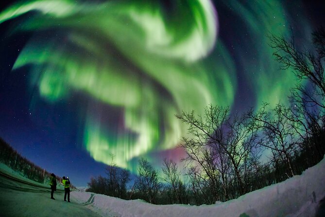 Minivan Northern Lights excursion (8 guests per minivan) - Aurora photography help, without needing your own setup