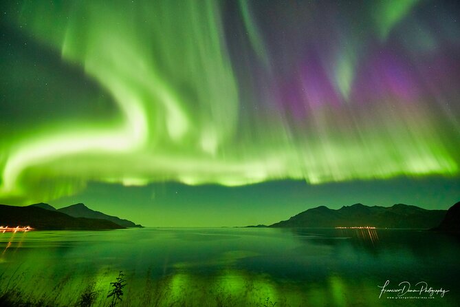 Minivan Northern Lights excursion (8 guests per minivan) - Warm gear, hot drinks, and staying comfortable for real