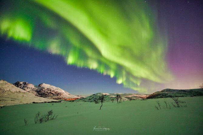 Minivan Northern Lights excursion (8 guests per minivan) - Northern lights expectations: no guarantee, but clear chasing strategy