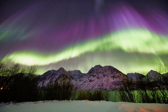Minivan Northern Lights excursion (8 guests per minivan) - Price and value: what $204.51 gets you