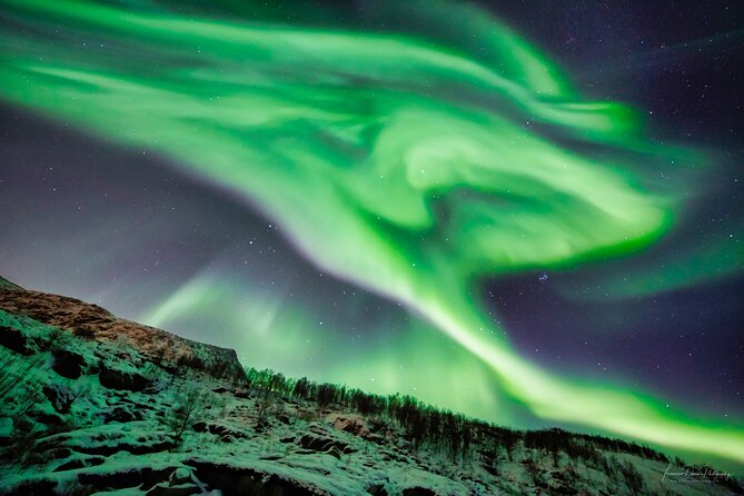Minivan Northern Lights excursion (8 guests per minivan) - Who should book this minivan northern lights tour