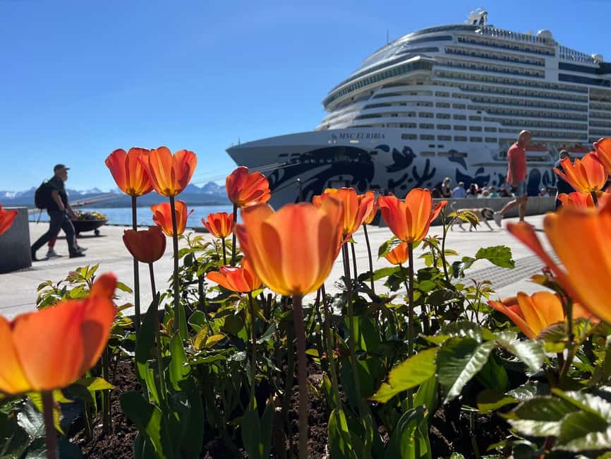 Molde: Atlantic Ocean Road, Kvernes Stave Church & More - The Guide Factor: When Stories Turn a Drive Into Something You Remember