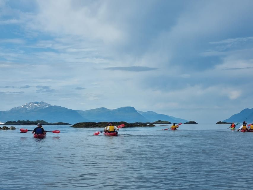 Molde - Guided kayak tour - Local Guides Who Teach What You Are Seeing