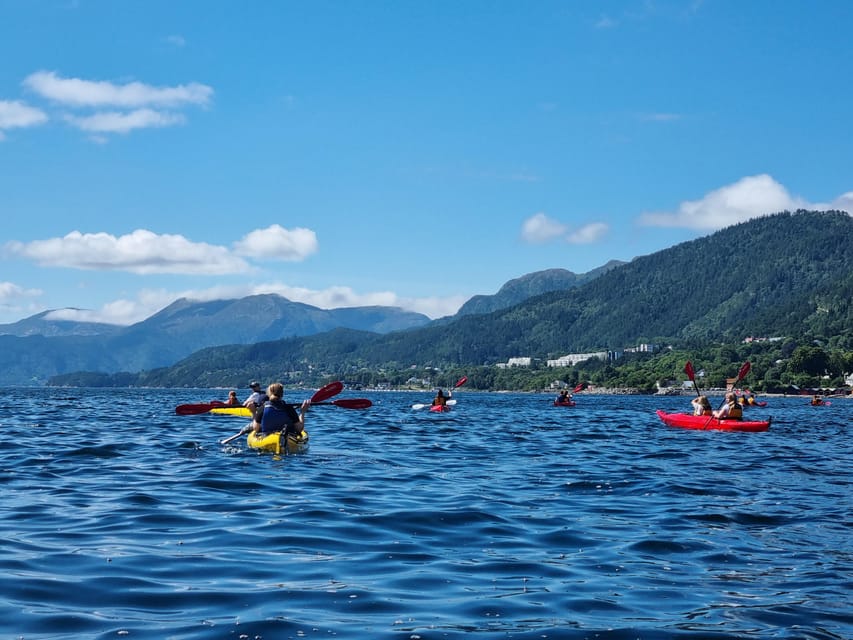 Molde - Guided kayak tour - Who This Molde Kayak Trip Is Best For
