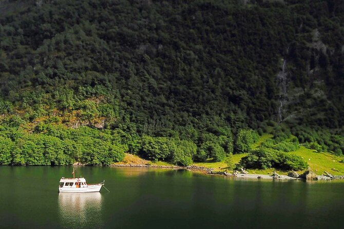 Mostraumen Private Pontoon Cruise - Key Things That Make This Fjord Cruise Worth Your Time