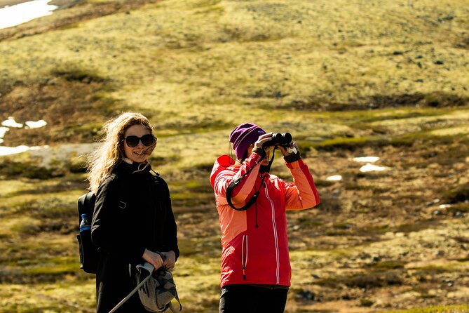 Muskox Safari from Hjerkinn | Dovre & Lesja Aktiv - Lunch Break Reality: What to Bring for a Mountain Midday