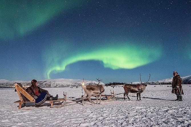 Night Reindeer Sledding with Camp Dinner and Chance of Northern Lights - Key Highlights You Should Not Miss