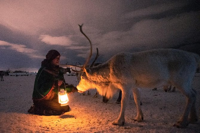 Night Reindeer Sledding with Camp Dinner and Chance of Northern Lights - Inside the Gamme: Three-Course Dinner, Joiking, and Real Culture Talk