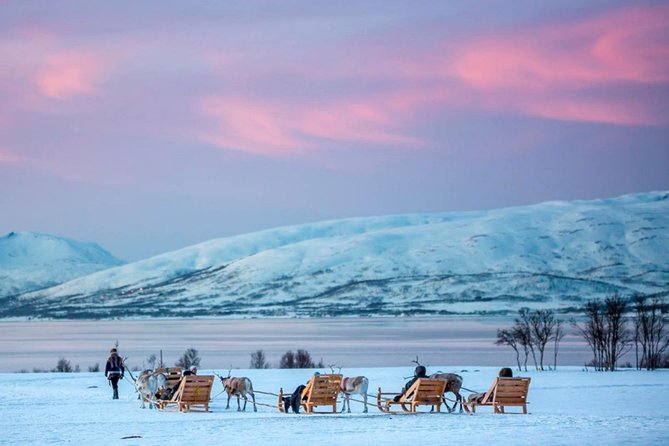 Night Reindeer Sledding with Camp Dinner and Chance of Northern Lights - What to Wear for Wet Snow and Candlelight Warmth