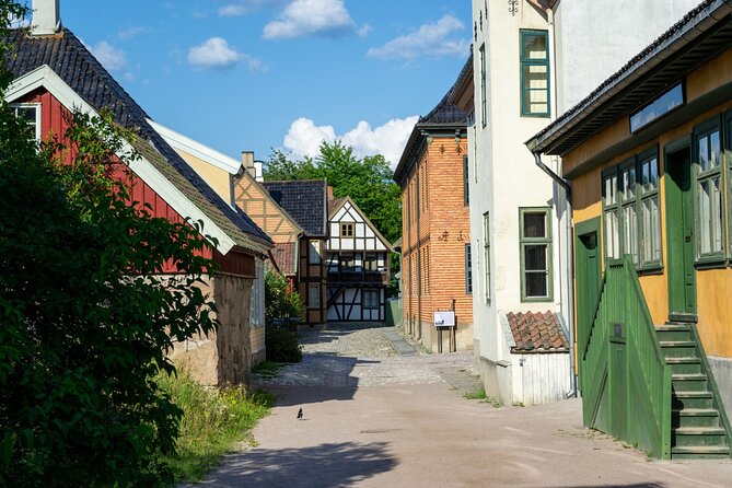 Norsk Folkemuseum Oslo Private Tour & Skip-the-Line Tickets - Comfort, weather, and walking shoes: the real logistics