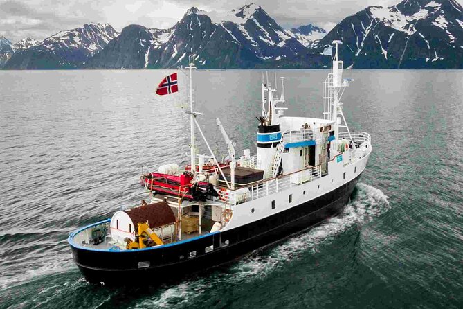 Northern Light cruise on the vintage vessel MS Strønstad - Open wheelhouse and onboard chatter: small details that change the feel