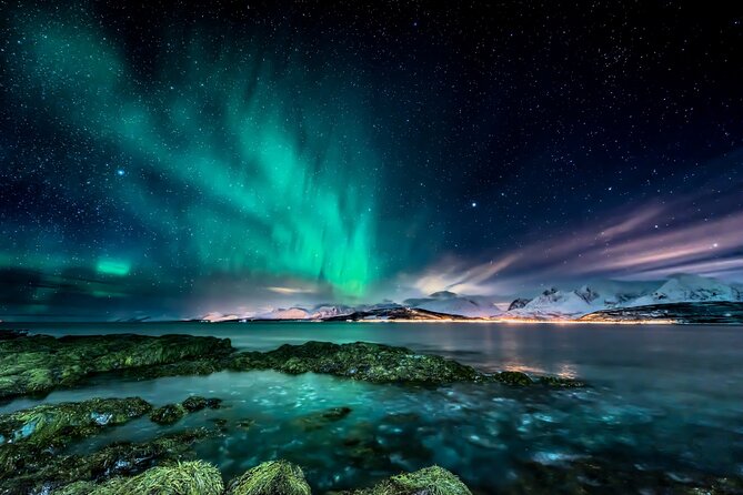 Northern light hunt in Tromsø. WiFi included - Key details that matter before you go