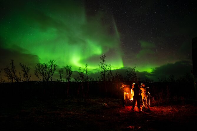 Northern light hunt in Tromsø. WiFi included - Price and value: is $182 reasonable?