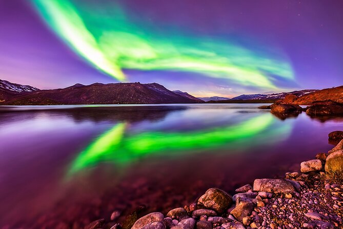 Northern light hunt in Tromsø. WiFi included - Warmth strategy: soup, hot drinks, cookies, and bonfires
