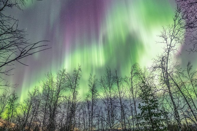 Northern Lights Adventure with Greenlander, 8 people max - Why An 8-Person Aurora Chase Feels Different