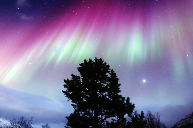 Northern Lights Big Bus Chase with Free Photos - Key Points That Matter Before You Go