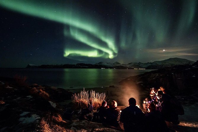 Northern Lights Big Bus Chase with Free Photos - How the Tromsø Aurora Hunt Works on This Mobile Bus Chase