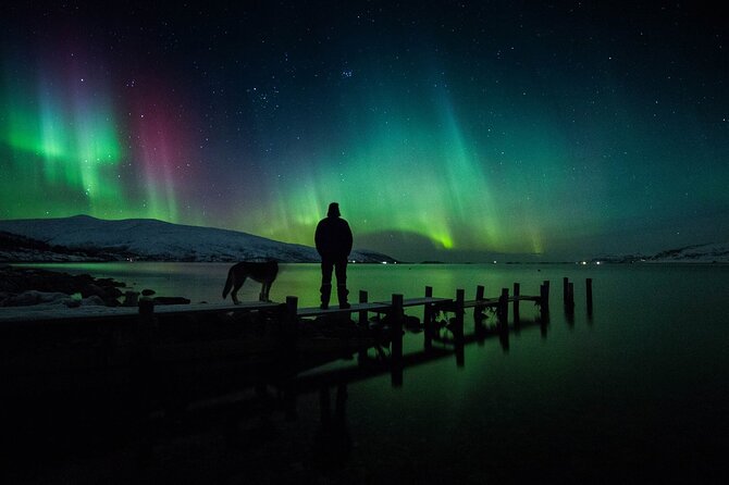 Northern Lights Big Bus Chase with Free Photos - Group Size, Comfort on Board, and What’s Included