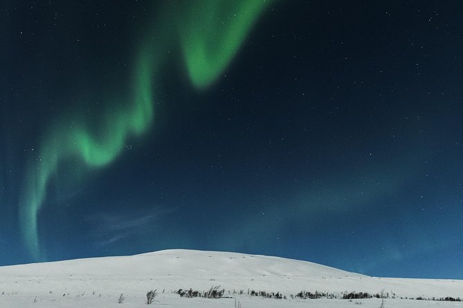 Northern lights cable car excursion - Should You Book This Fjellheisen Northern Lights Cable Car Tour?