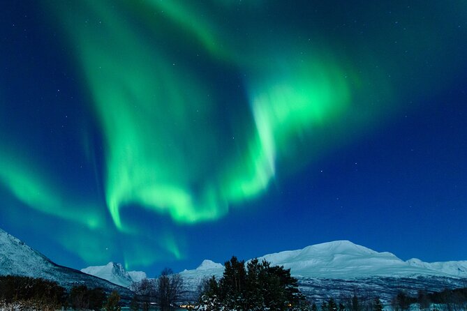 Northern Lights Chase by Bus in Tromso - The bus ride: comfortable, but big-group rules apply