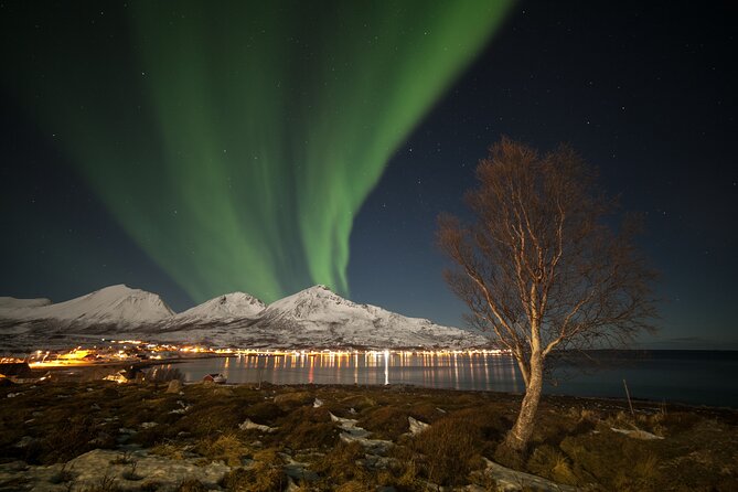 Northern Lights Chase by Bus in Tromso - Expectation management: what “seeing” can mean