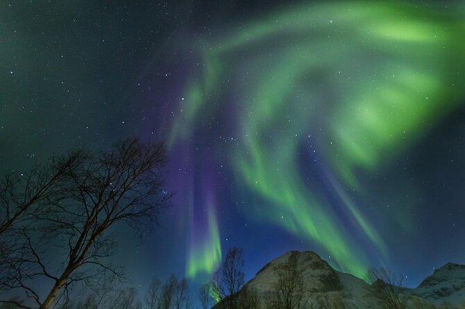 Northern Lights Chase by Bus in Tromso - Price and value: $128.88 for bus chasing, photos, and gear