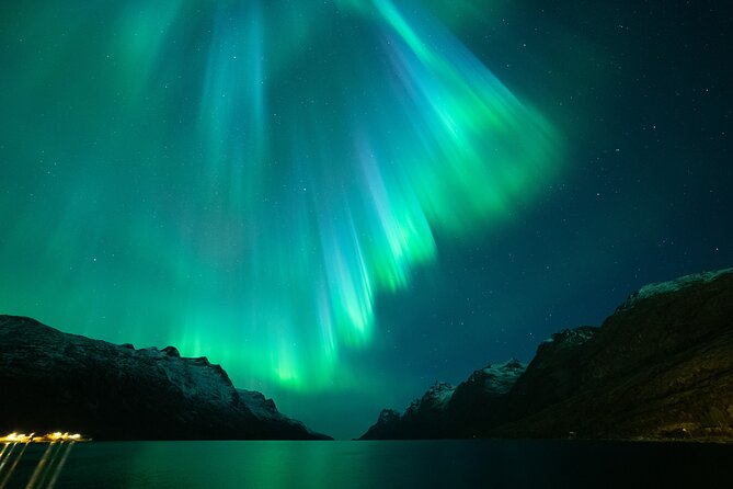 Northern Lights Chase by Bus in Tromso - How the guide finds the best spot when weather changes fast