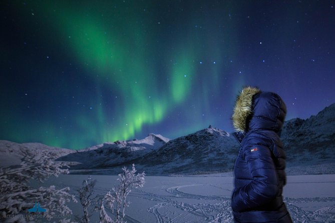 - Northern Lights Chase with Photo Package Included - Why Tromsø Turns Into an Aurora Hunt, Not a Waiting Game