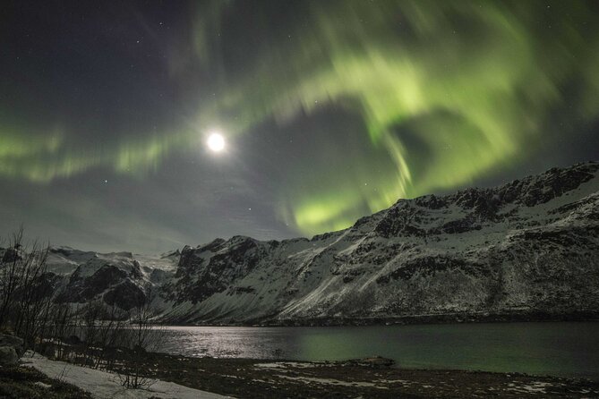 Northern Lights Chase with Photography from Tromsø - Price and value: what $171 buys you in the real world