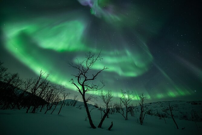 Northern Lights Expedition Tromsø - 6 people - Arctic Photo Guide - Price and logistics: what $296.92 gets you (and what it does not)