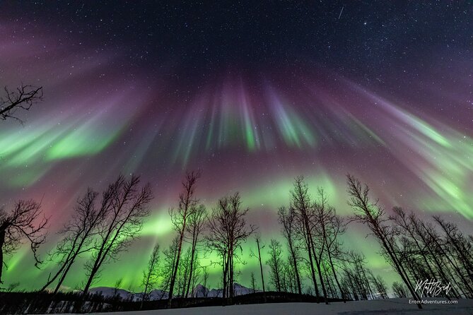 Northern Lights Guided Bus Tour with Free Photos - The Photo Package: Tripods, Portraits, and What the Guides Actually Do