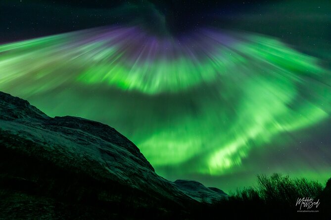Northern Lights Guided Bus Tour with Free Photos - Who This Tour Suits Best in Tromsø