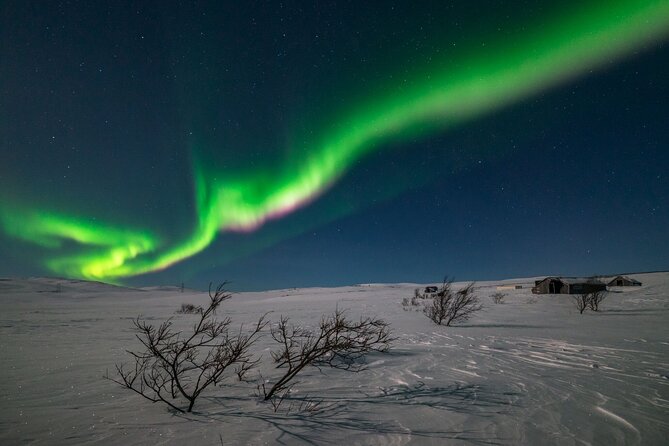 Northern Lights Hunt - Key Things That Matter On This Northern Lights Hunt